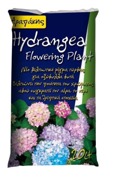 Καστανόχωμα