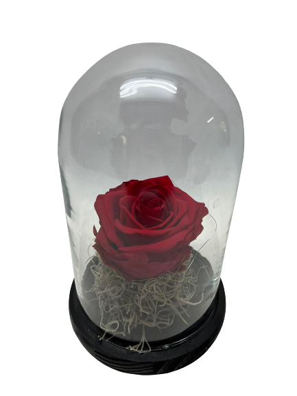 Forever Rose Κόκκινο