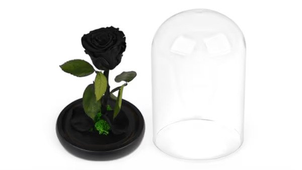 Forever Rose Μαύρο